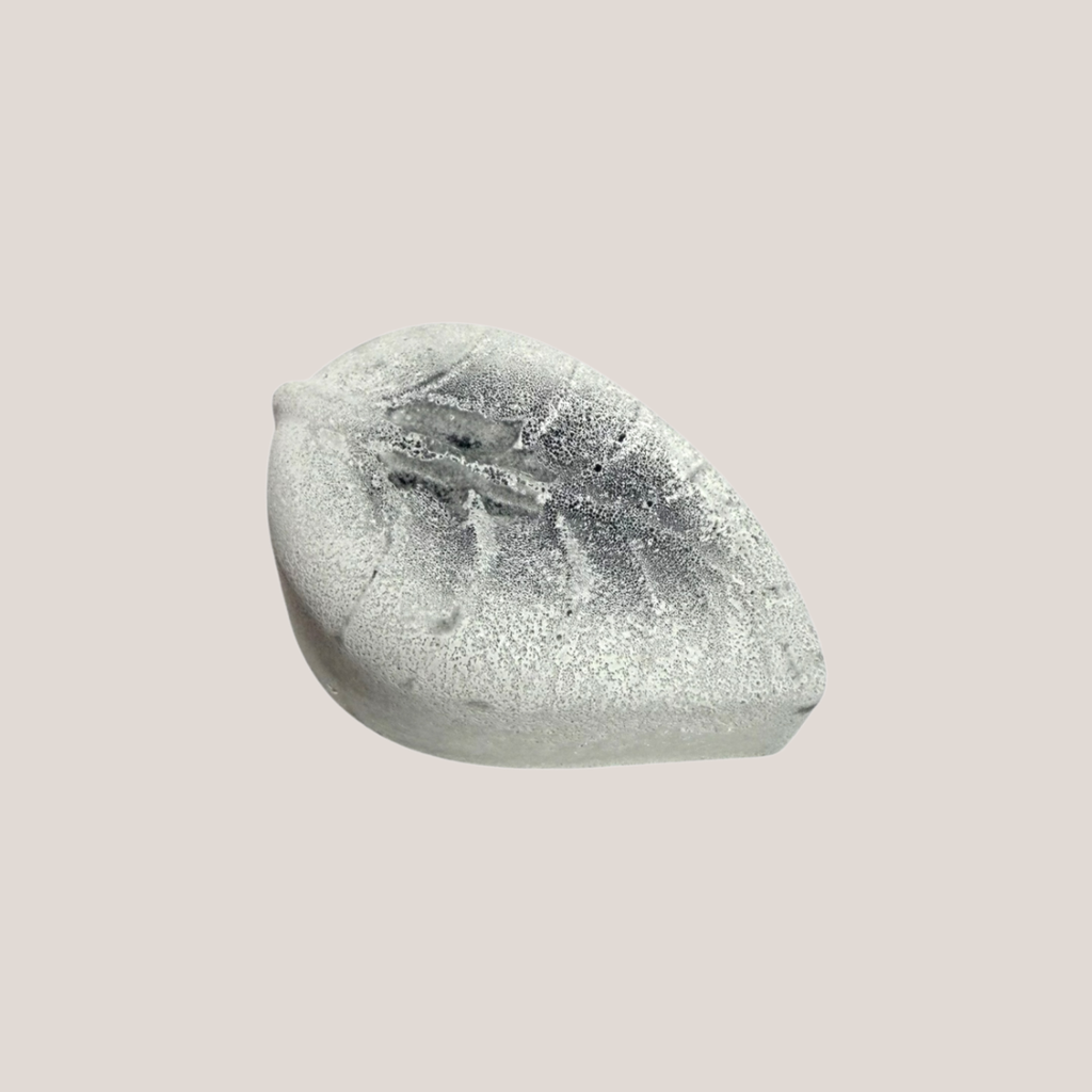 Eco Cleanser