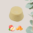 Après-Shampoing Solide