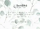 Bon cadeau Swigift-verso.webp