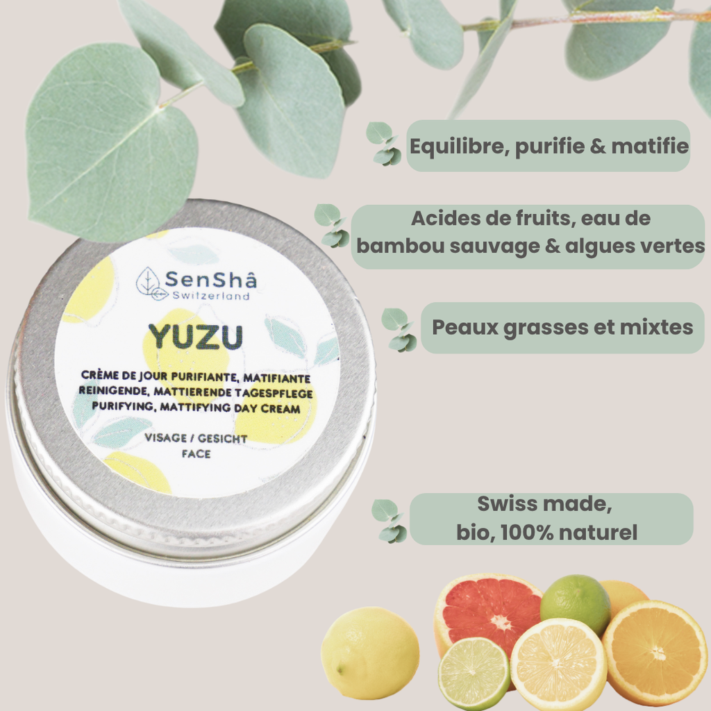Yuzu3-couv-site.png