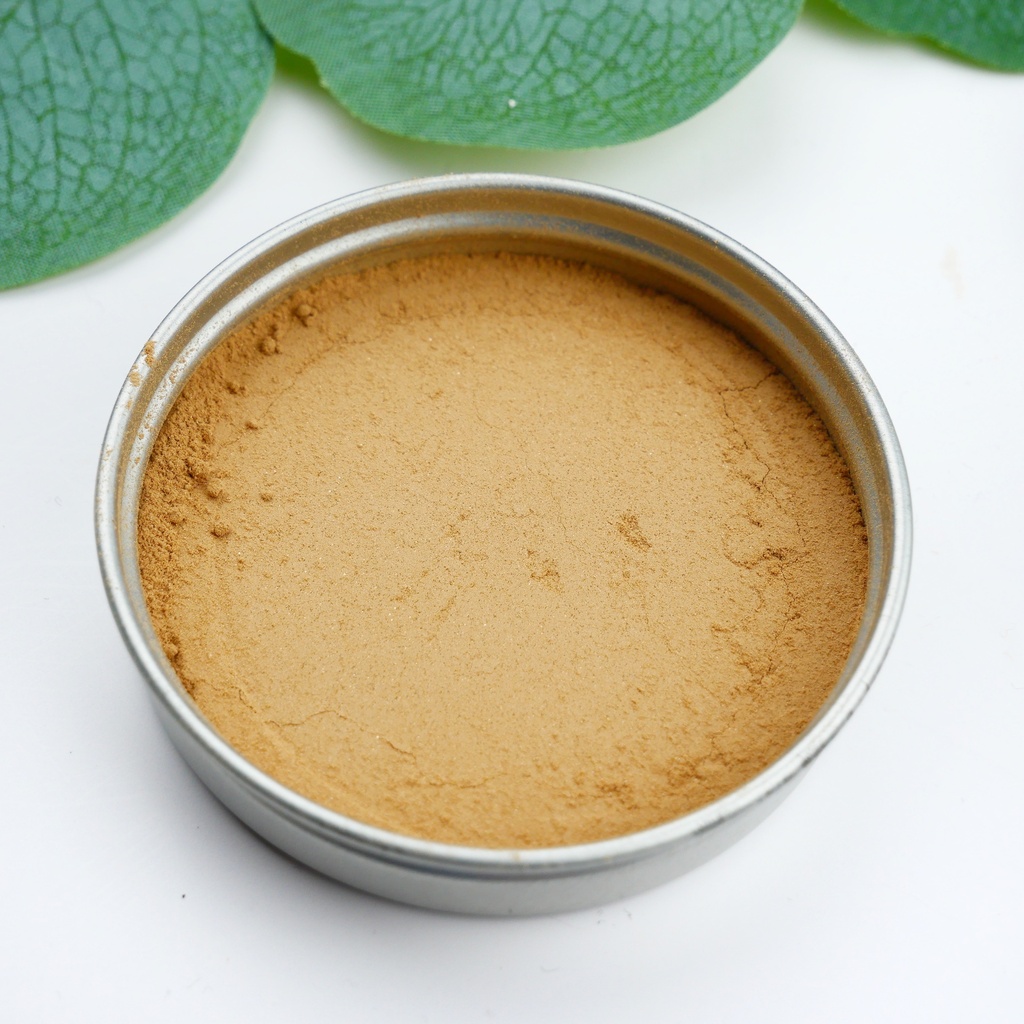 Poudre Bronzer 