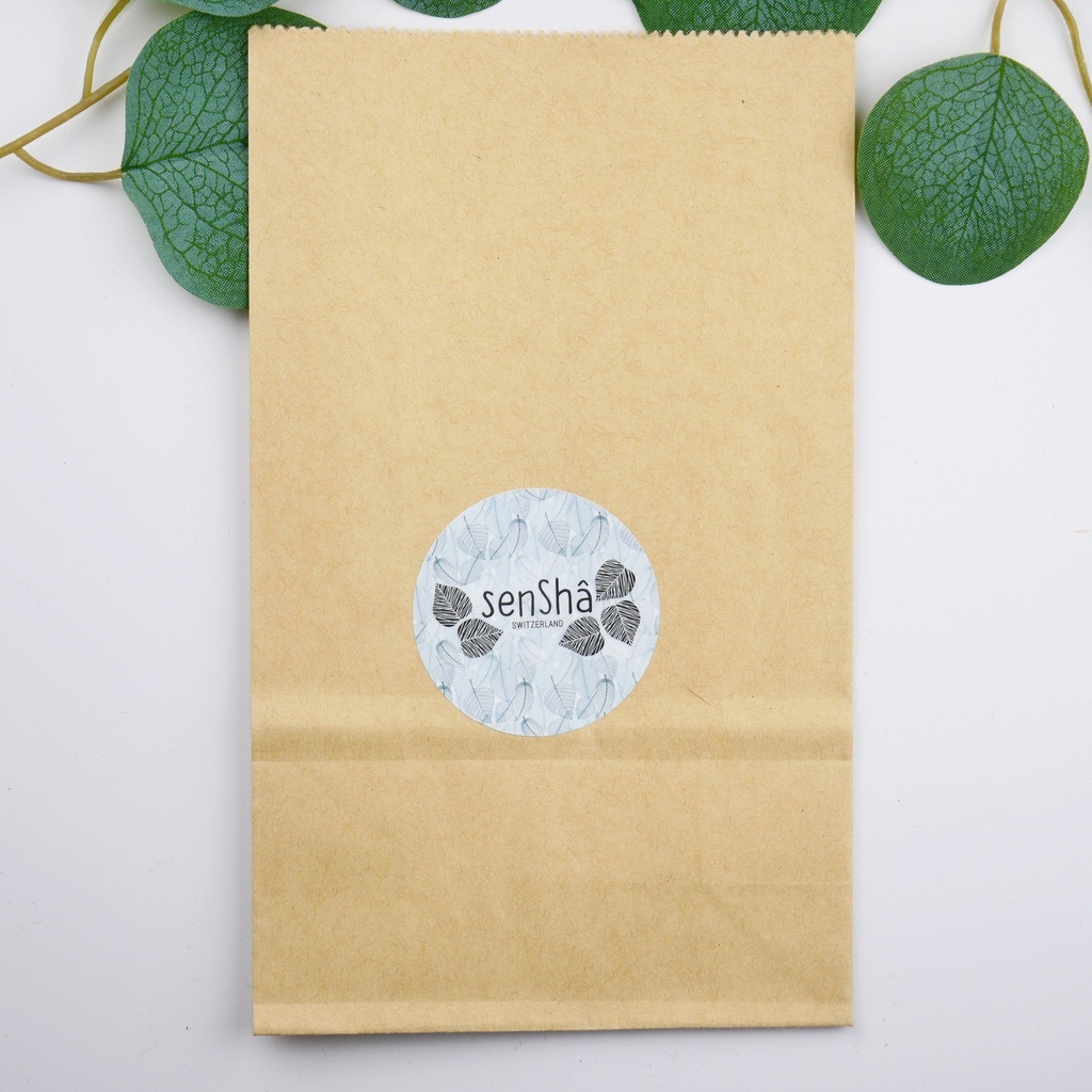 Sachet cadeau en kraft avec logo Pro