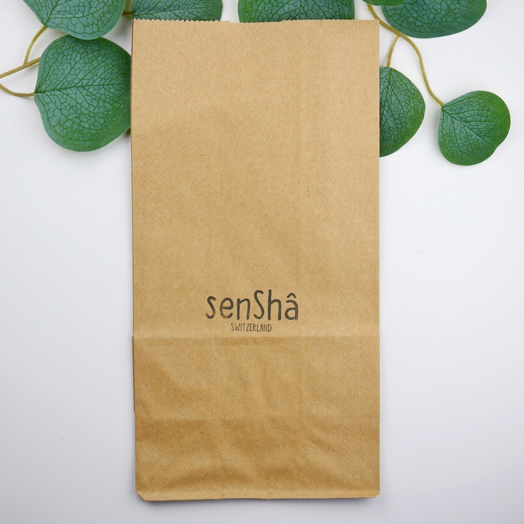 Sac pochette kraft Pro