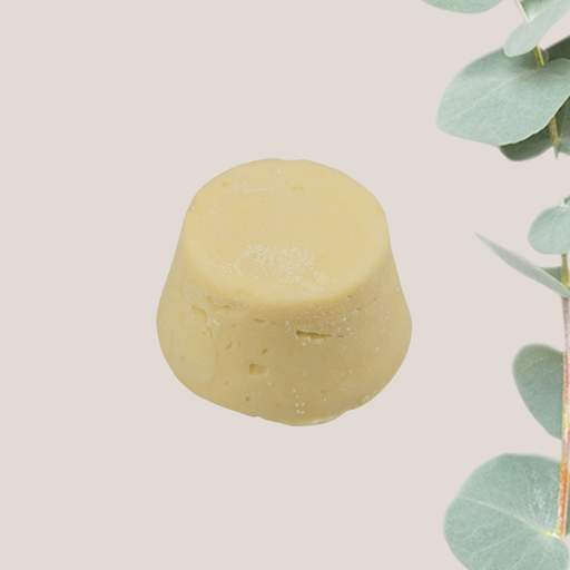 Après-Shampoing Solide