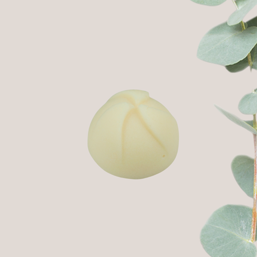 Gel Douche Solide Framboise & Lychee 20g fin de série