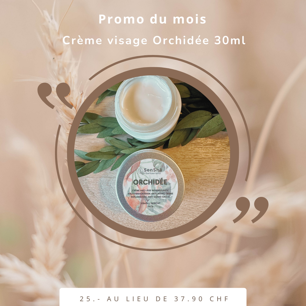 Orchidée promo du mois